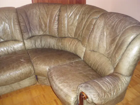 Odinė žalia kampinė sofa